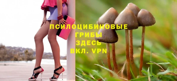 амф Володарск