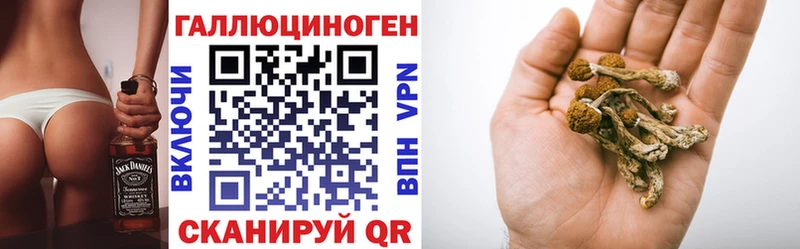 Галлюциногенные грибы GOLDEN TEACHER  Купить закладки  Красноармейск 